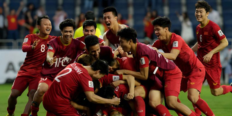 các giải bóng đá năm 2019